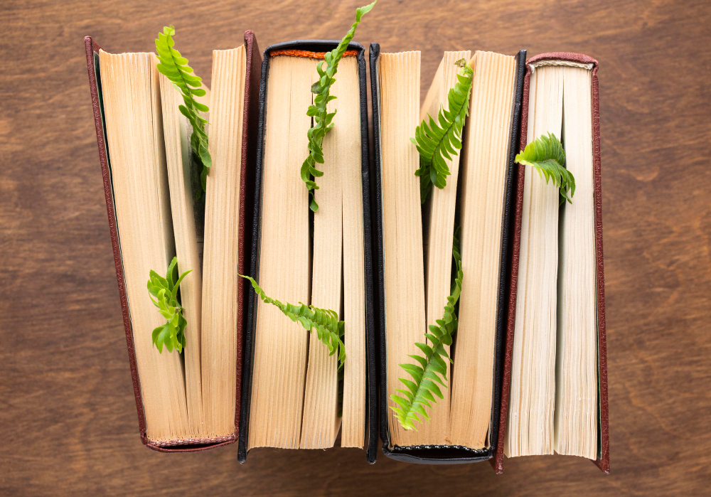 Sustainable bookstore